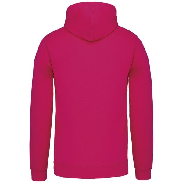 Sweat-shirt capuche contrastée homme – Image 473