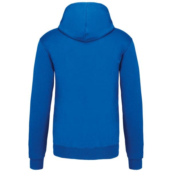 Sweat-shirt capuche contrastée homme – Image 505