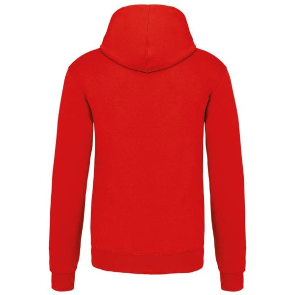 Sweat-shirt capuche contrastée homme – Image 633