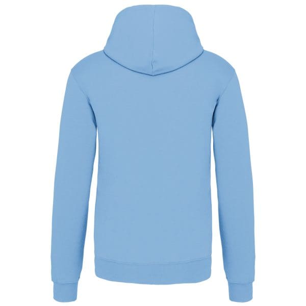 Sweat-shirt capuche contrastée homme – Image 649