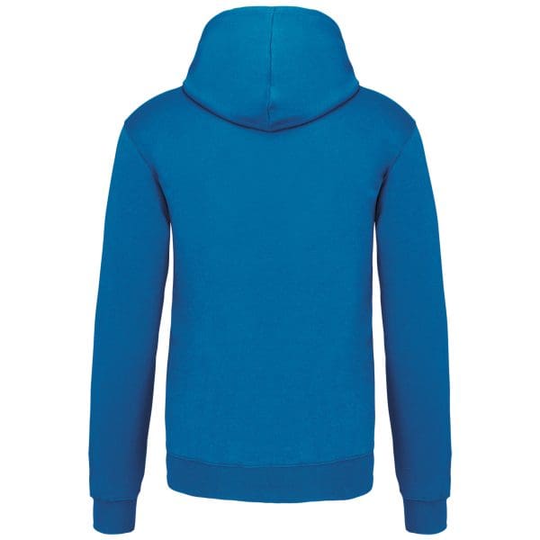 Sweat-shirt capuche contrastée homme – Image 665