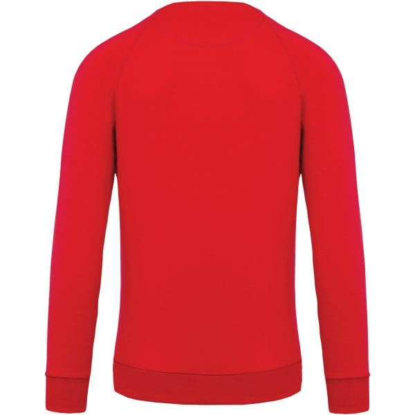 Sweat-shirt Bio col rond manches raglan homme – Image 273