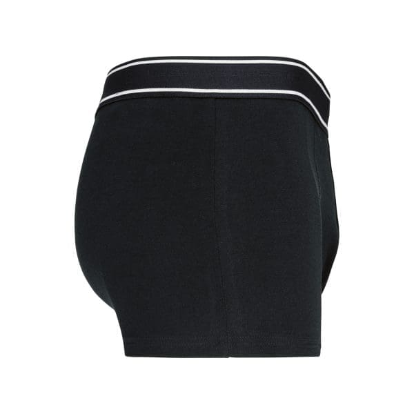 Boxer – Image 7
