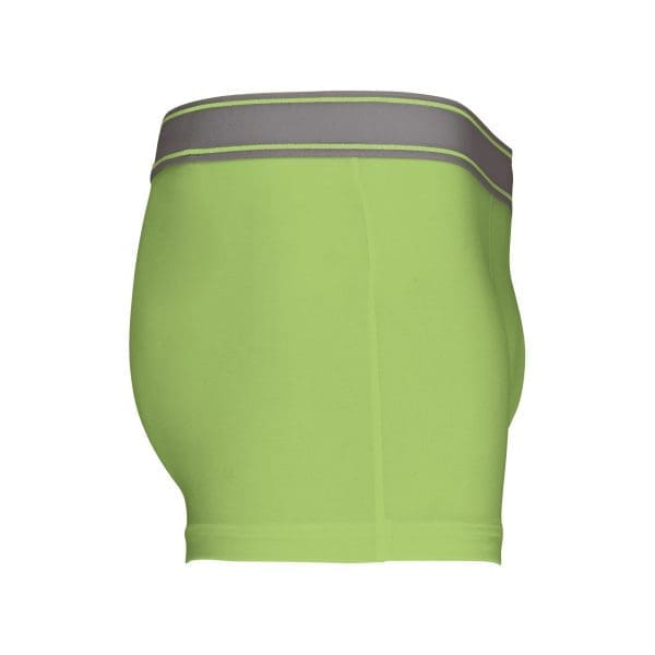 Boxer – Image 27
