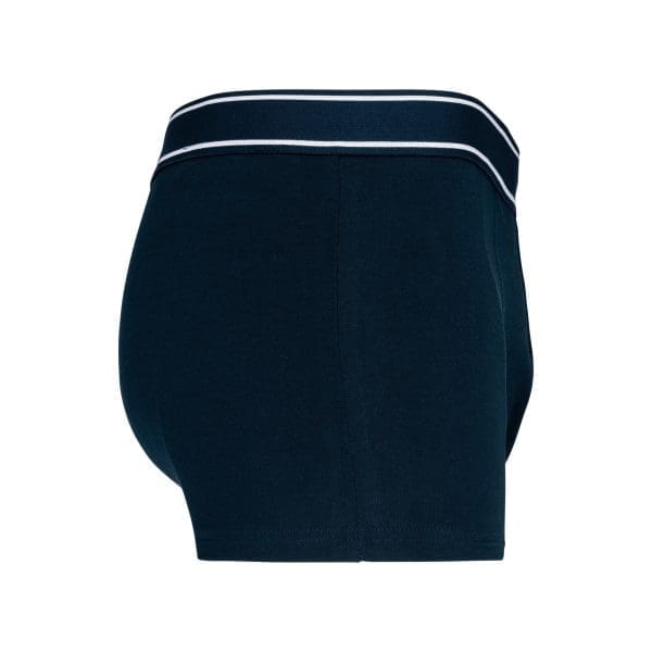 Boxer – Image 37