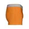 Boxer – Image 47