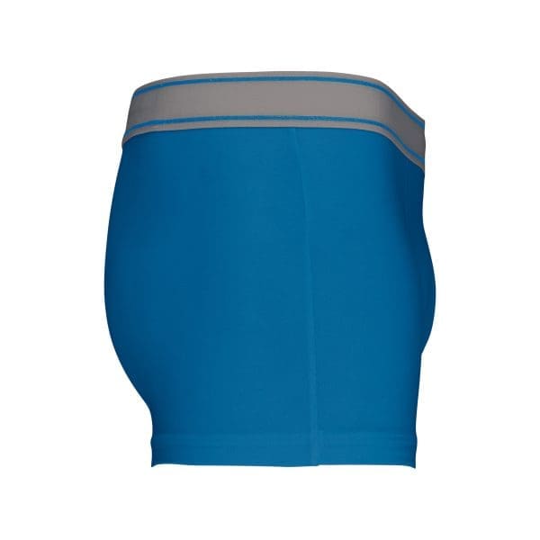 Boxer – Image 77