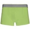 Boxer – Image 26