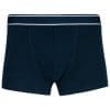 Boxer – Image 36