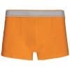 Boxer – Image 46