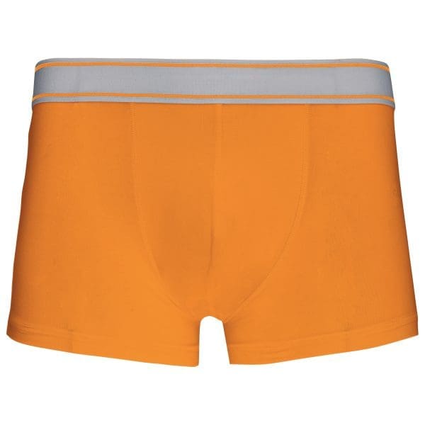 Boxer – Image 46