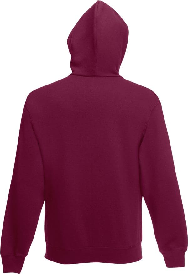 Sweat-shirt capuche Classic (62-208-0) – Image 127