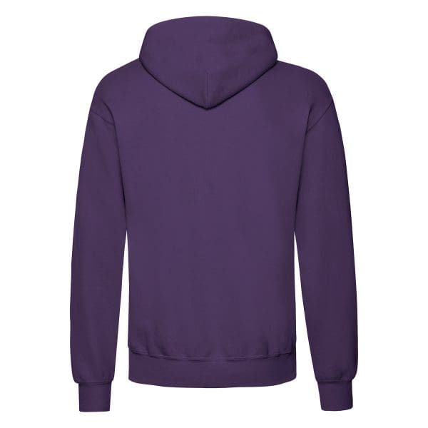 Sweat-shirt capuche Classic (62-208-0) – Image 192