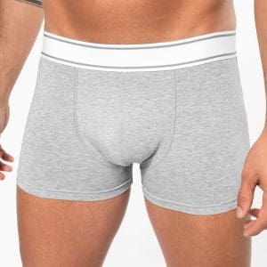 Boxer