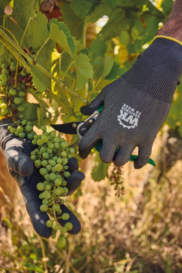 Gants de protection contre les coupures – Image 13
