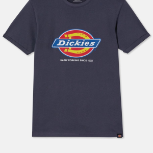 T-shirt DENISON homme (DT6010)