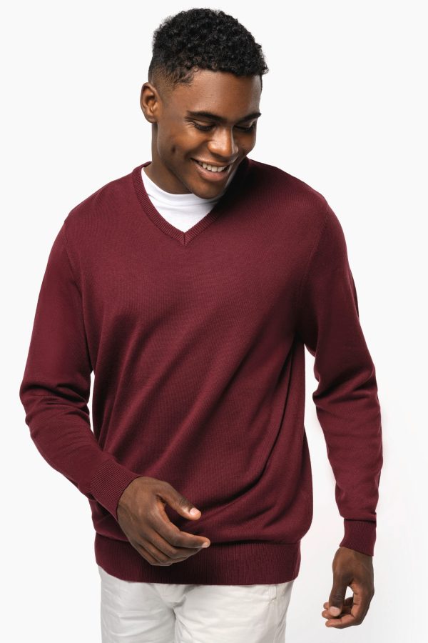 Pull col V homme – Image 745