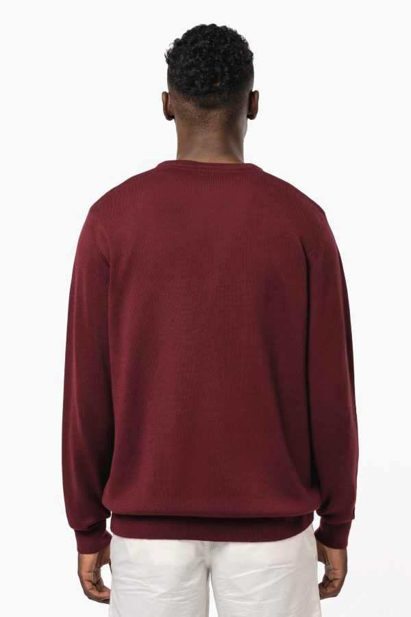 Pull col V homme – Image 746