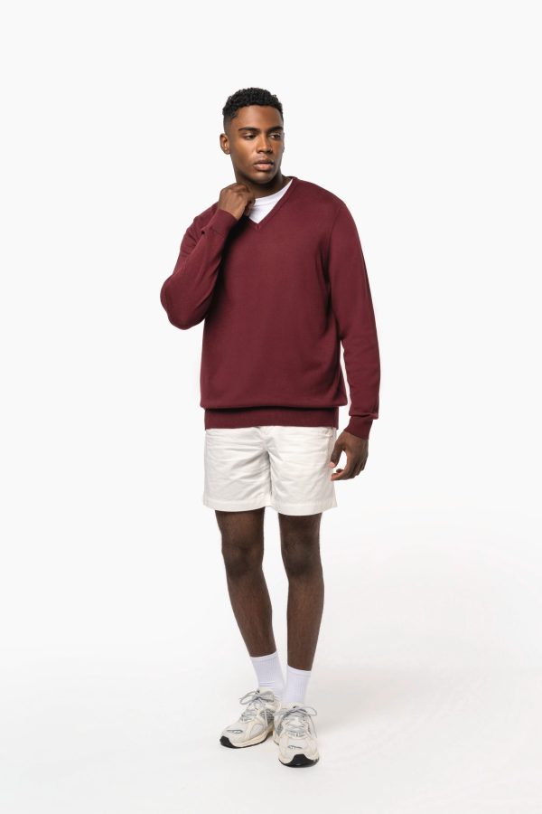 Pull col V homme – Image 749