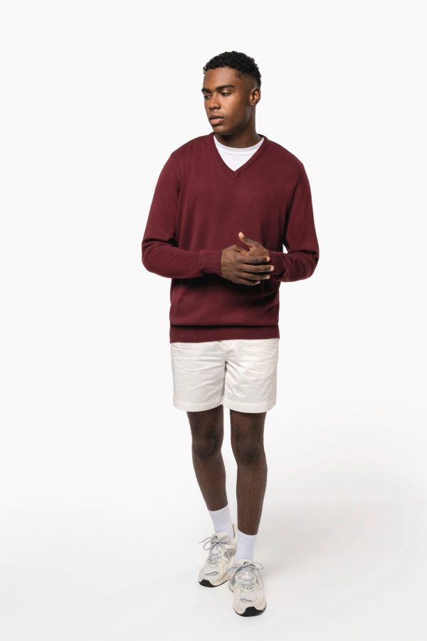 Pull col V homme – Image 750