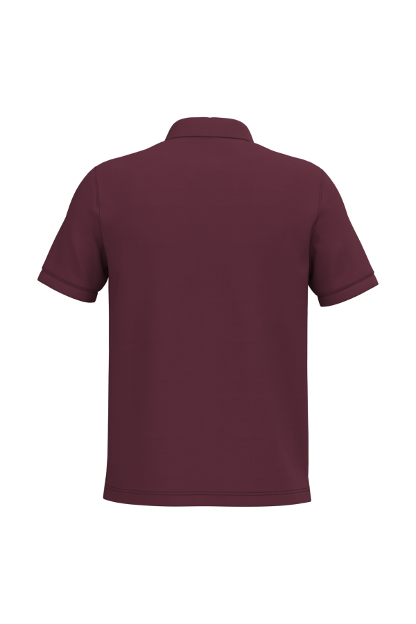 Polo piqué manches courtes homme – Image 5535