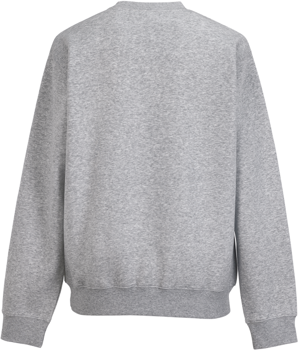 Sweat-shirt col rond Authentic – Image 487