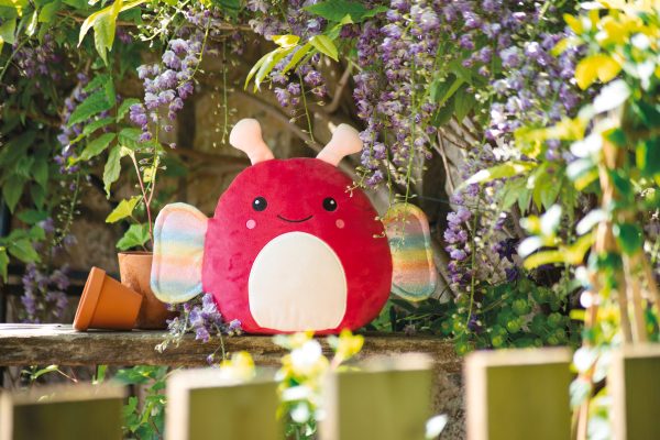 Peluches Squidgy's – Image 2982
