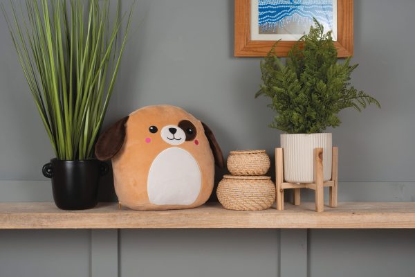 Peluches Squidgy's – Image 2978