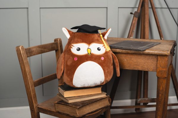 Peluches Squidgy's – Image 2989