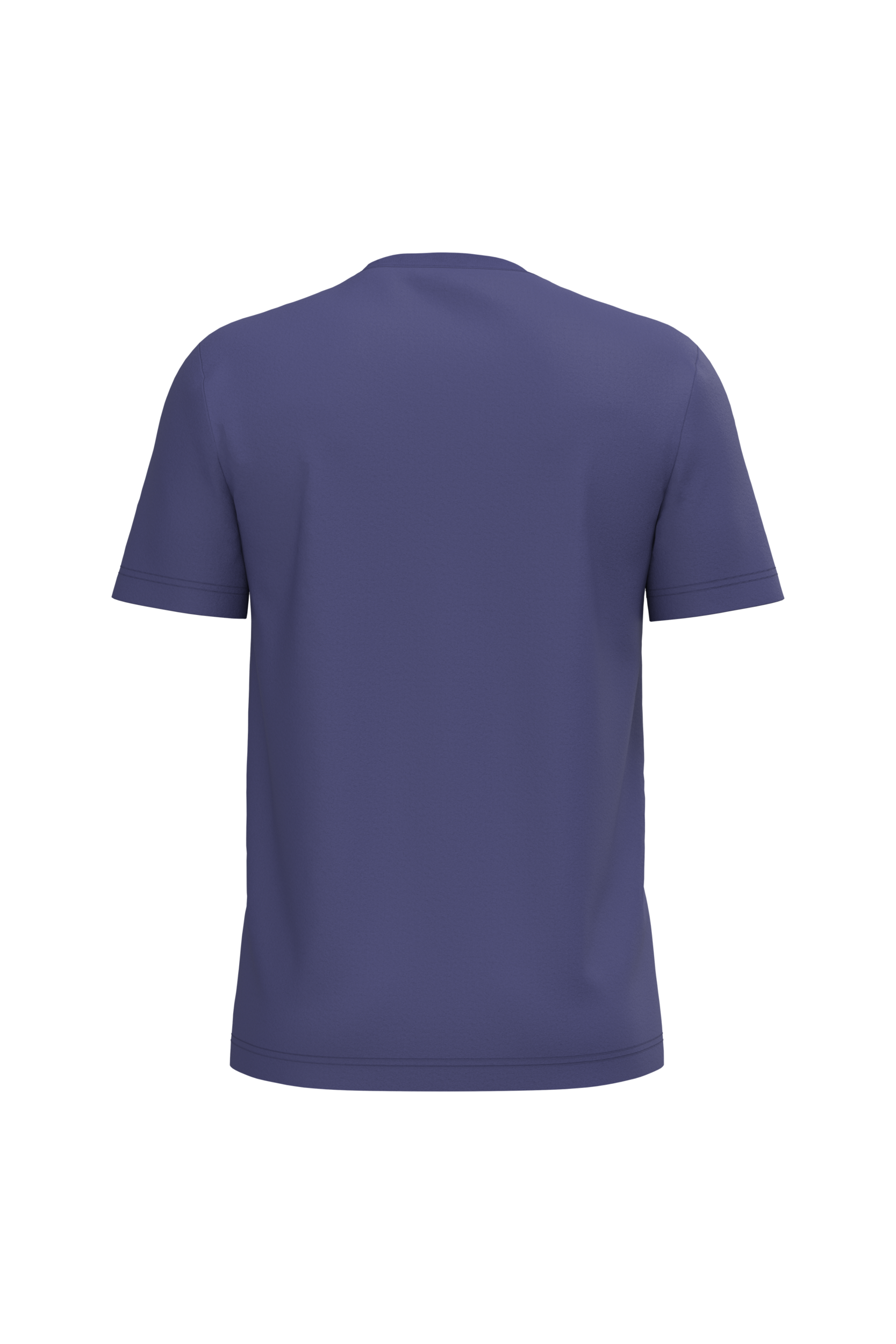 T-shirt Bio150IC col rond homme – Image 3668