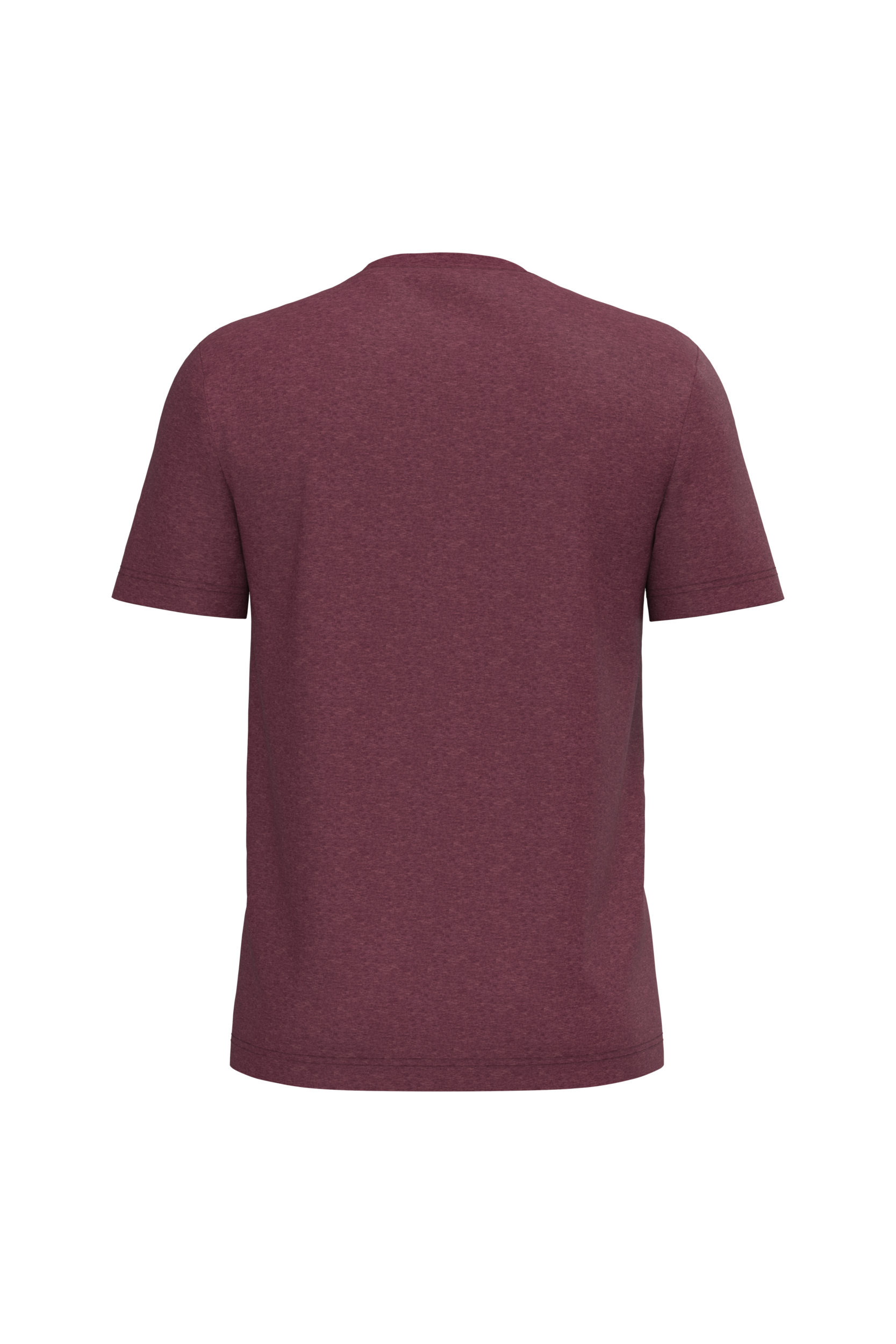T-shirt Bio150IC col rond homme – Image 4100