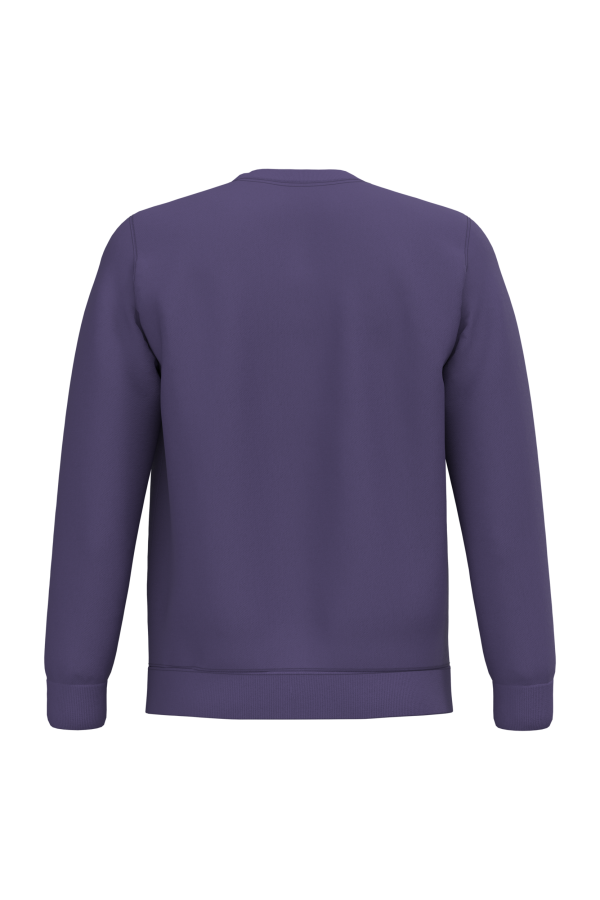 Sweat-shirt col rond unisexe – Image 3059