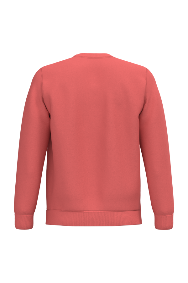 Sweat-shirt col rond unisexe – Image 3187