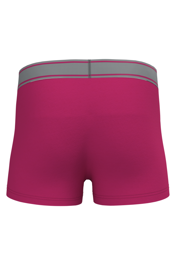 Boxer – Image 299