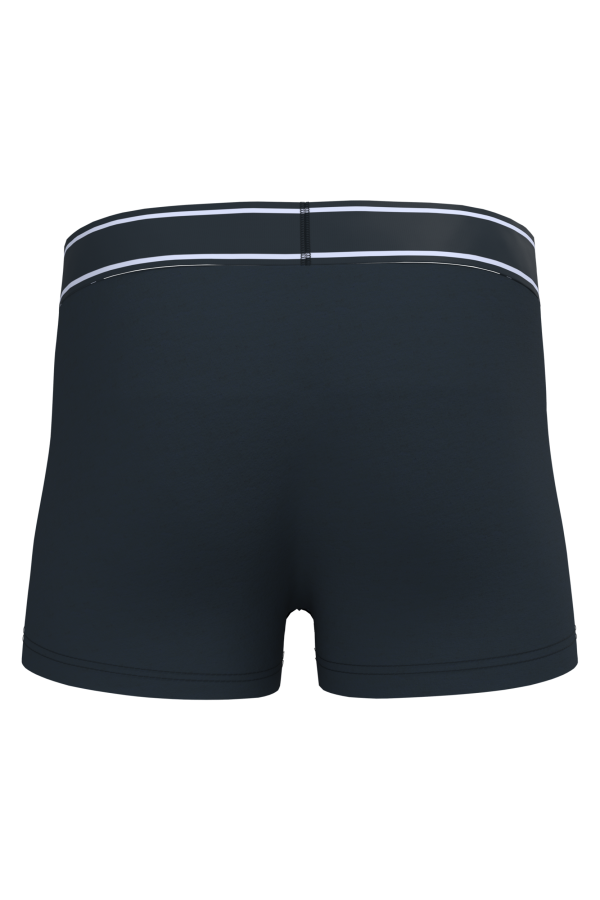 Boxer – Image 319