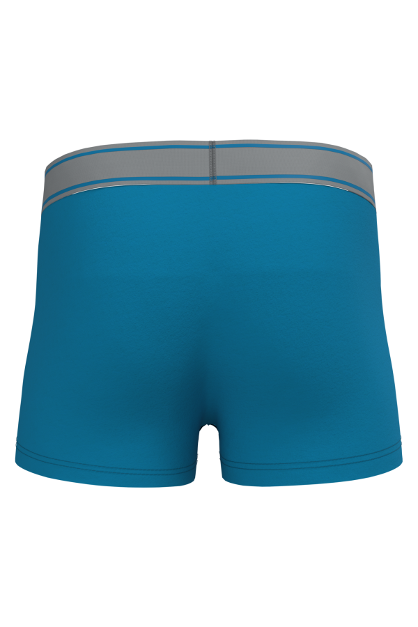 Boxer – Image 369