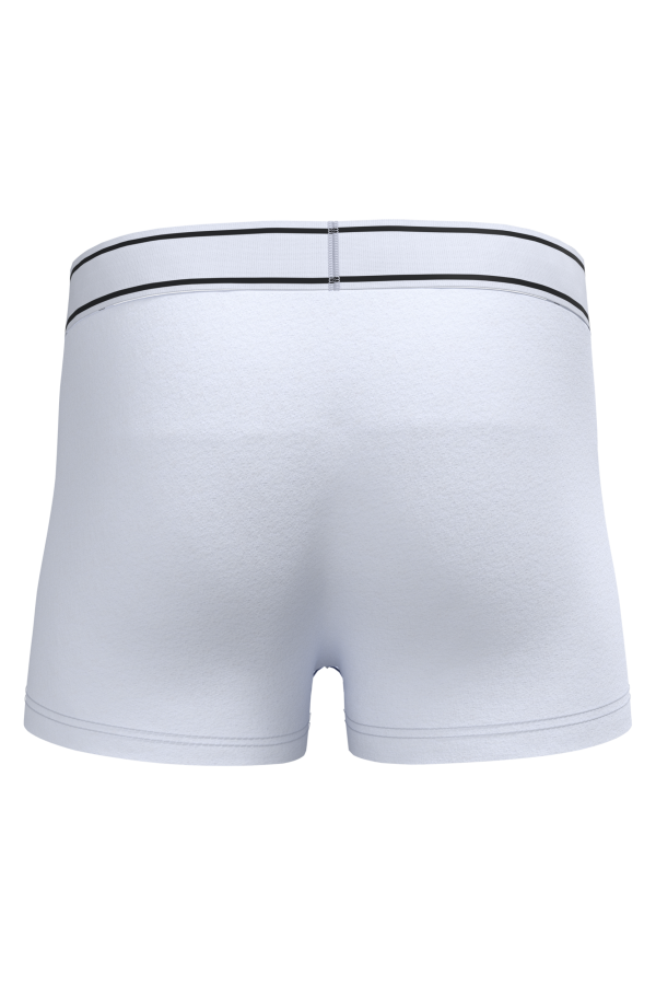 Boxer – Image 379