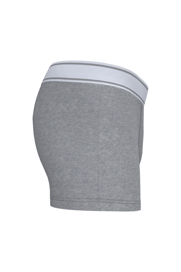 Boxer – Image 350