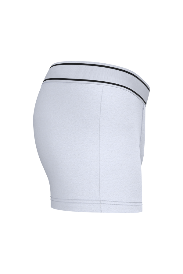 Boxer – Image 380